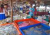 Рыбный Рынок Равай - Sea Gypsies Fish Market